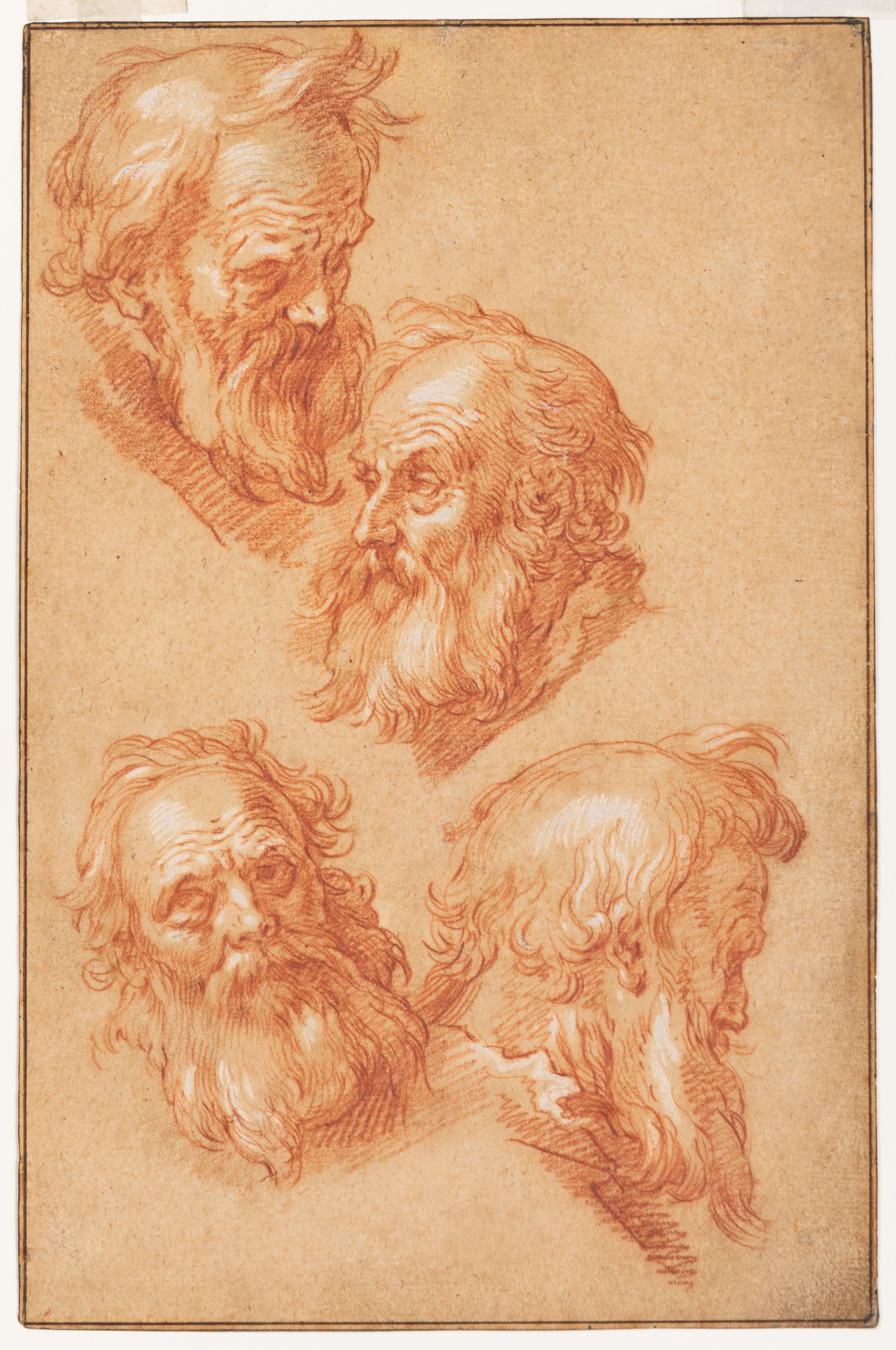 Four Studies of the Head of an Old Man